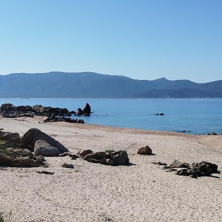 Chalets Bois 150M De La Plage Olmeto  Eksteriør bilde