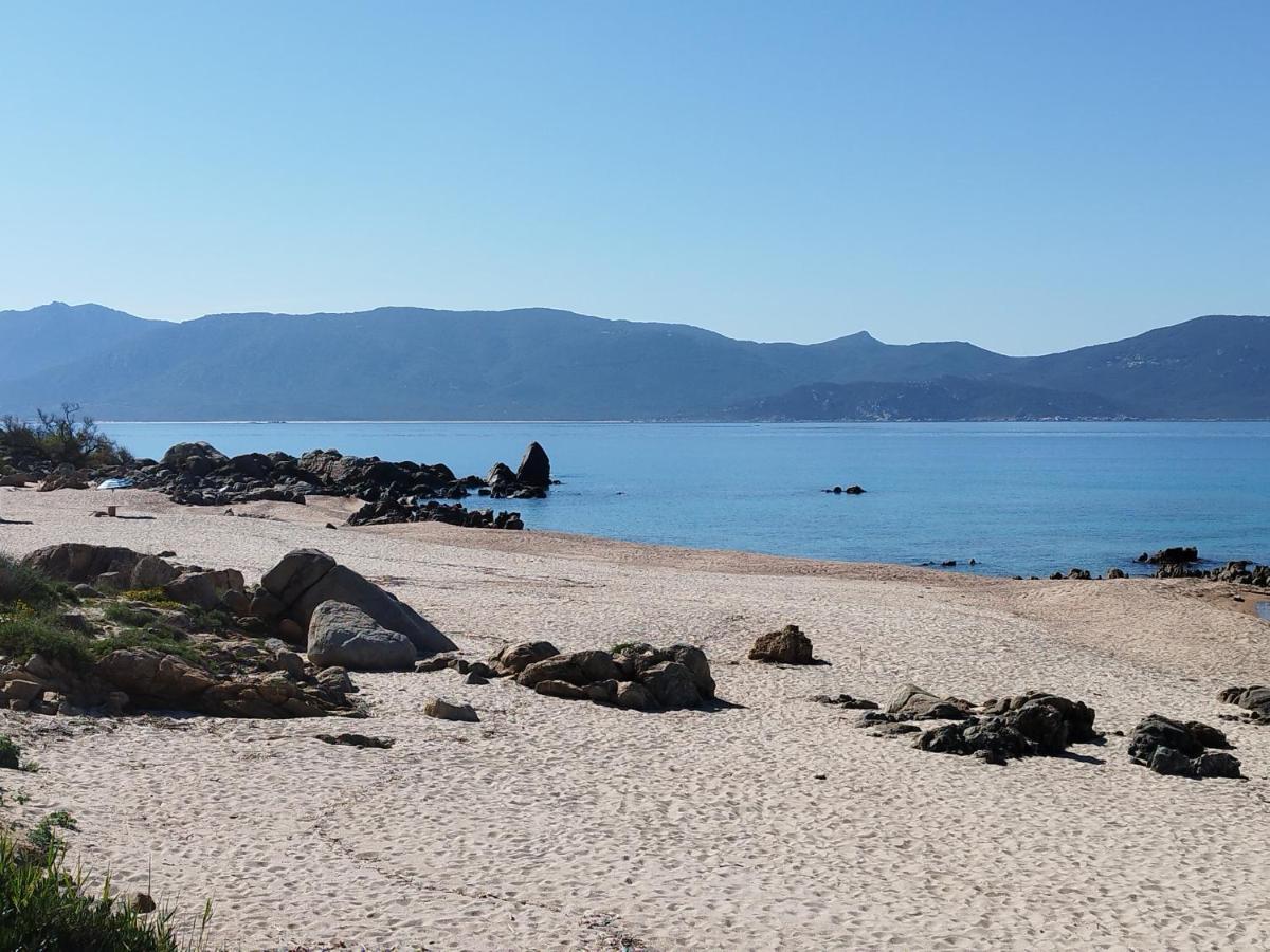 Chalets Bois 150M De La Plage Olmeto  Eksteriør bilde